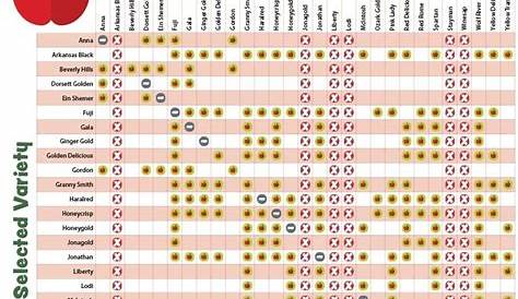 Pollination chart | Honeycrisp apple tree, Apple tree, Fruit bearing trees