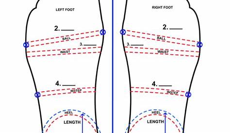 how to measure heel to toe length