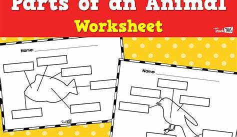 Parts of an Animal - Worksheet :: Teacher Resources and Classroom Games