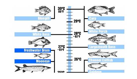 aquarium fish temperature chart