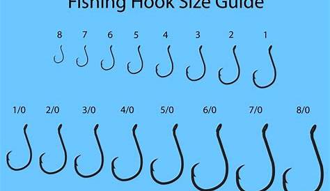 Different Types of Fishing Line Explained - ArelikruwWashington