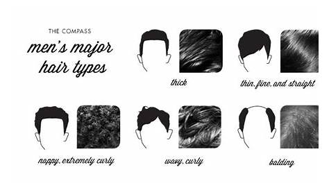 hair types men chart