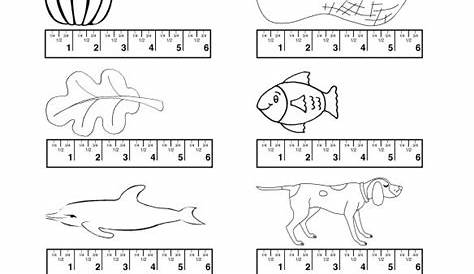Teach child how to read: Free Printable Second Grade Measurement Worksheets