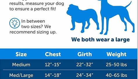PETSAFE Easy Walk Dog Harness, Black/Silver, Medium/Large - Chewy.com