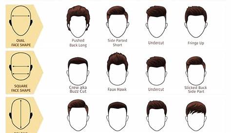 hair length chart inches male