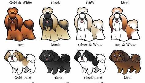 weight chart for shih tzu puppies