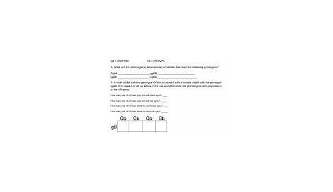 worksheet dihybrid crosses answer key pdf