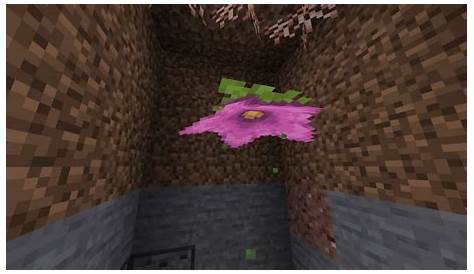 what do spore blossoms do in minecraft
