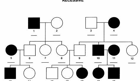 Pedigree chart showing Autosomal Recessive example | For School | Pinterest