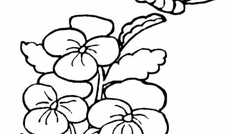 Free Spring Coloring Pages For Kids at GetDrawings | Free download