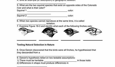 Selection And Speciation Pogil Packet Answer Key: Your Ultimate Guide