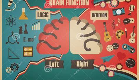 Retro brain function chart stock vector. Illustration of concept - 71709589