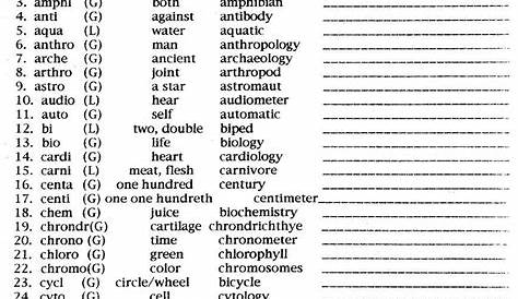 greek latin roots worksheets