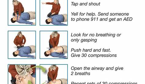 red cross cpr pdf