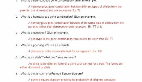 genetics and heredity study guide answer key