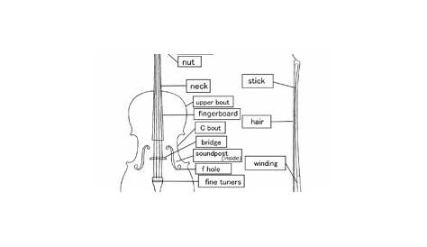 parts of the violin worksheets
