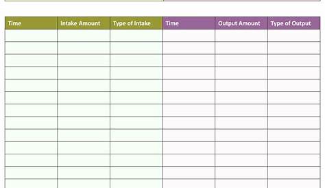 printable fluid intake chart template