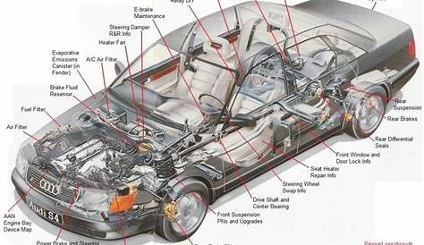 Car Body Diagram Anatomy