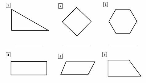 identify polygons worksheet 4th grade