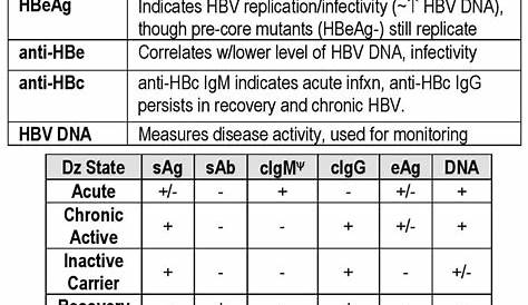 hep b serology interpretation chart