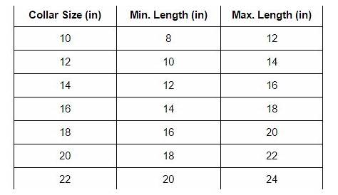 Puppy Collar Size Guide - dog collar size chart cm - Google Search