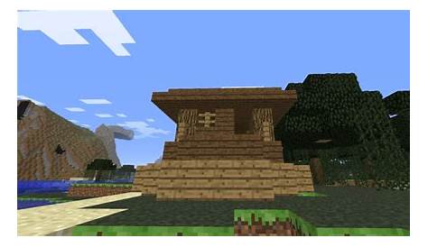 The Amazing Witch house Minecraft Project
