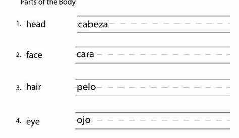 12 Best Images of Basic Spanish Vocabulary Worksheets - Spanish Words
