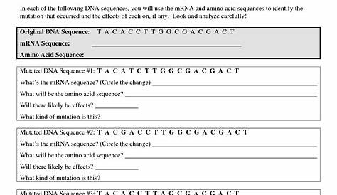 gene and chromosome mutation worksheets answer key