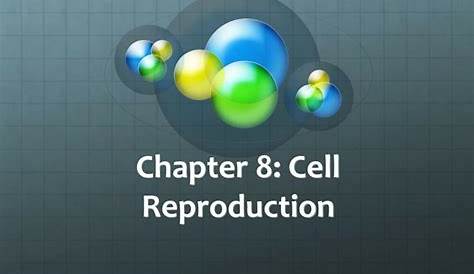 chapter 8 cell reproduction answers