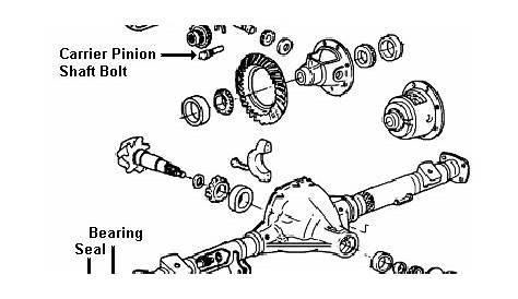 Automobile Rear Axle types- Live and Dead Axis
