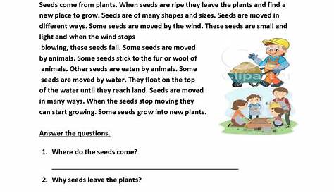 6th Grade Reading Comprehension Worksheets Multiple Choice Pdf - Free