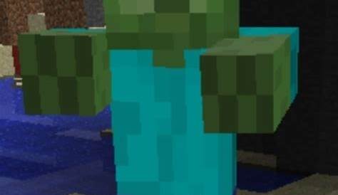 what does a minecraft zombie look like