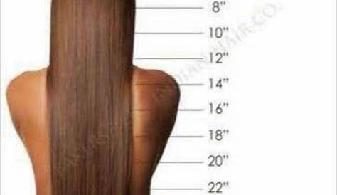 hair length chart braids