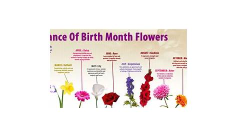 Image from http://thumbnails-visually.netdna-ssl.com/birth-month