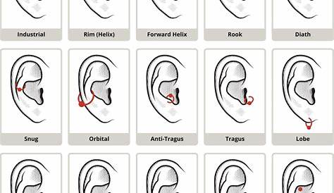 ear piercing healing stages