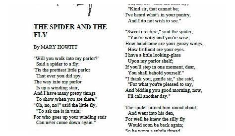 Poem About A Spider