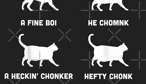 Chonk Cat Chart
