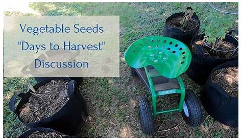 vegetable seed to harvest time