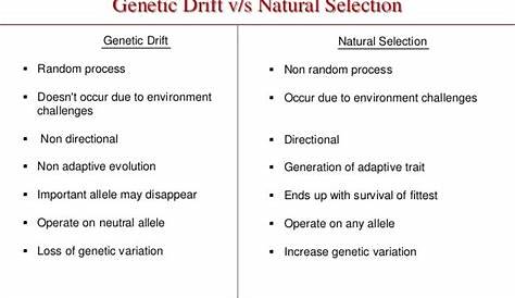 How Is Genetic Drift Different From Natural Selection - slidesharetrick