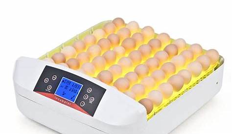 56 Egg Incubator Manual Pdf