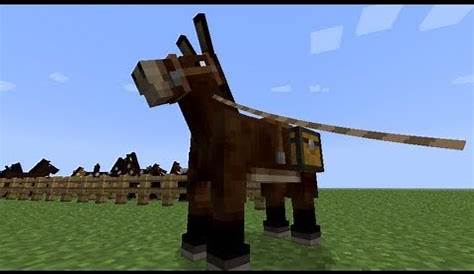 what do mules eat in minecraft