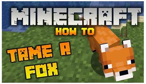 how do you tame a fox in minecraft
