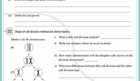 Its SciTime: Cell Growth and Cell Division