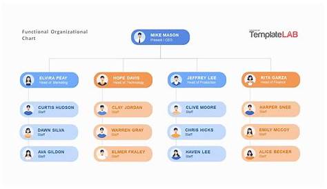 functional organizational structure chart