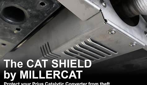 Amazon.com: Anti-Theft Cat Shield Compatible with 2016-2022 Toyota