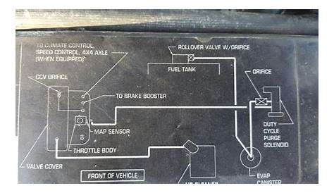 1997 jeep wrangler evap system diagram