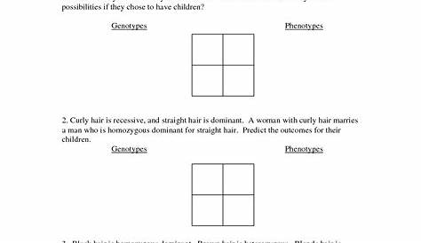 punnett square worksheets with answer key