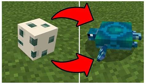 minecraft & turtle egg hatching guide