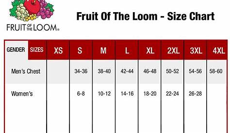 fruit of the loom size chart women's underwear
