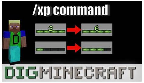How to use the /xp command in Minecraft Java Edition - YouTube